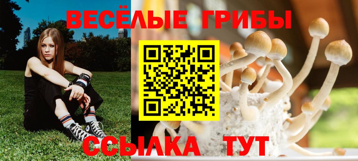 как найти   Вход с VPN  Кинешма  Галлюциногенные грибы Cubensis 